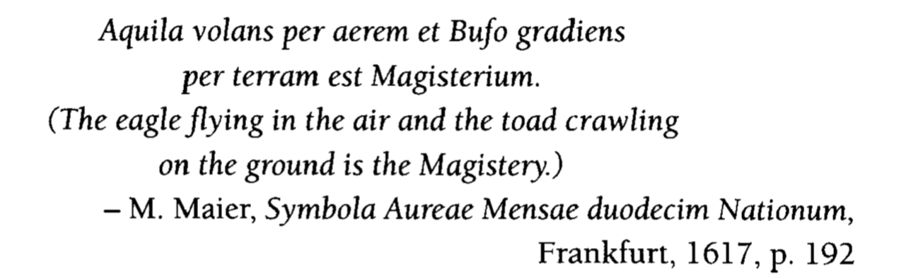 XMS the toad is magistry 1